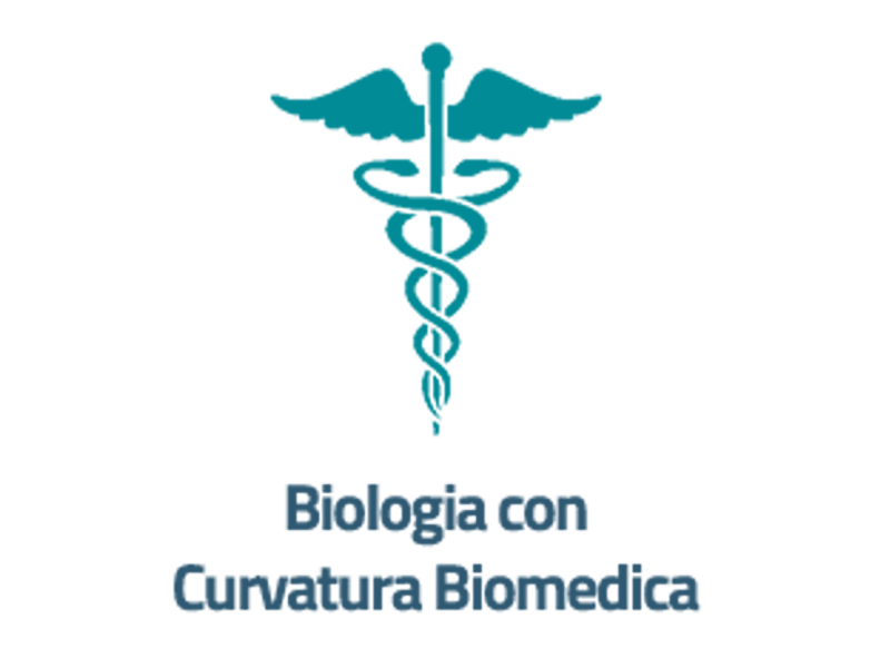 Curvatura Biomedica